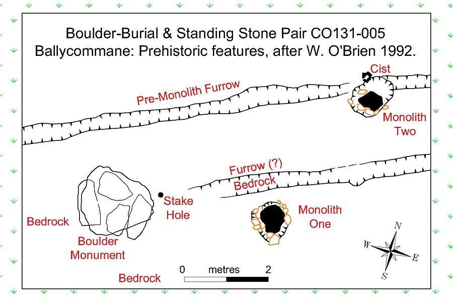 Ballycommane Site Plan.