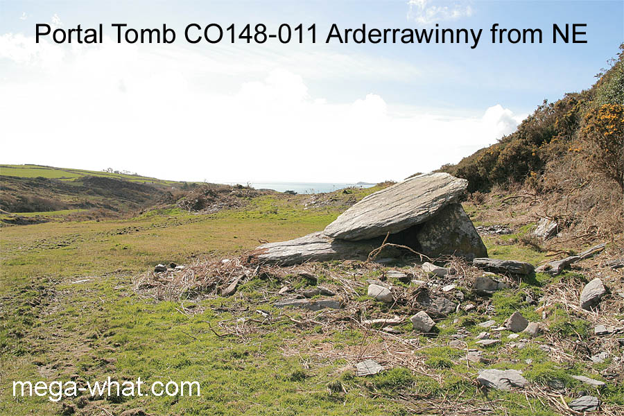 Arderrawinny Portal Tomb, Cork, Ireland.