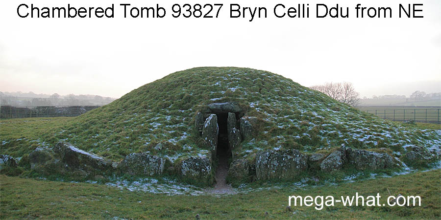Bryn Celli Ddu Chambered Tomb from NE.