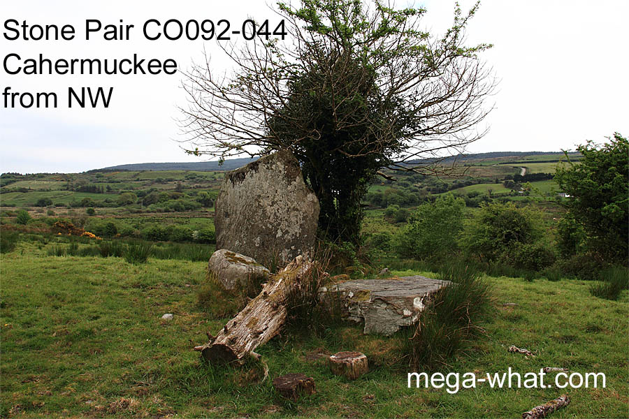 Cahermuckee Standing Stone Pair, Cork, Ireland.