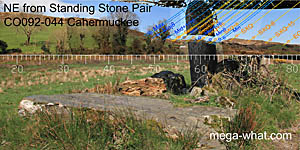 NE axial view from Cahermuckee Stone Pair