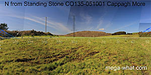 View N from Cappagh More Standing Stones