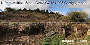 View N from Carrigagrenane Multiple Stone Circle