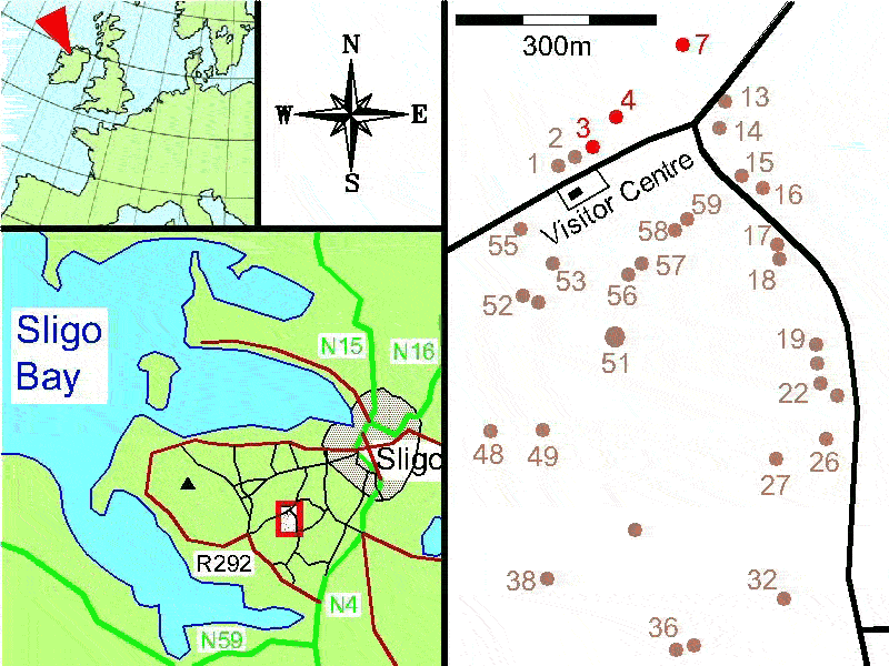 Carrowmore Location Map (after Burenhult 2001)