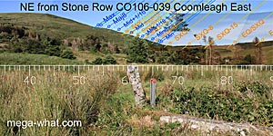 NE axial view from Coomleagh Stone Row