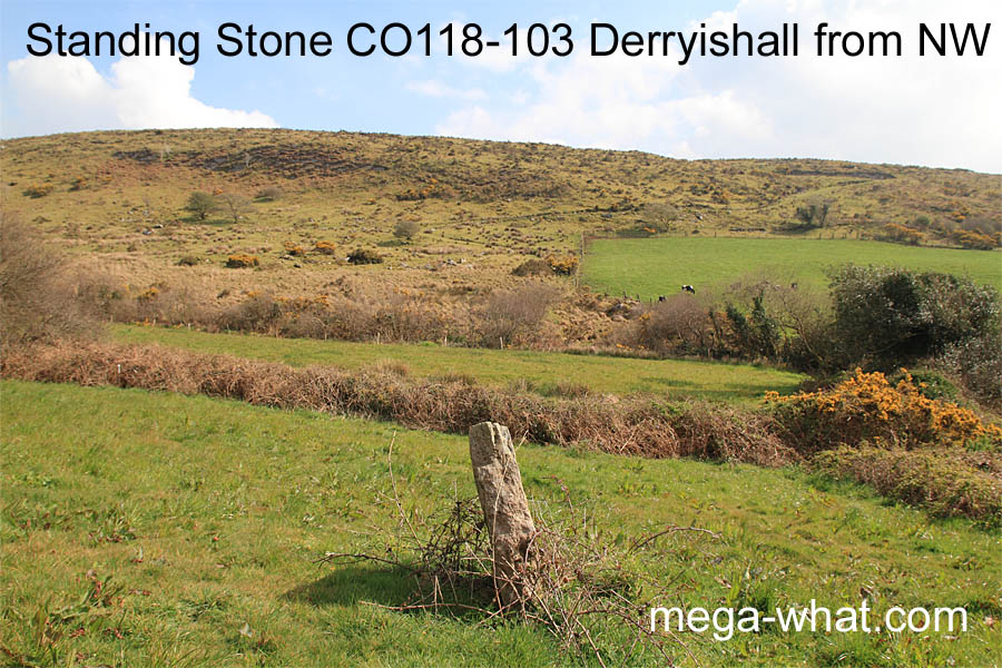 Derryishall Standing Stone, Cork, Ireland; from NW