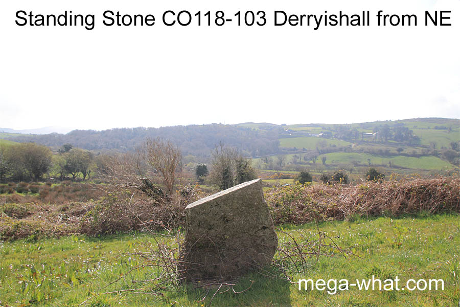Derryishall Standing Stone, Cork, Ireland; from NE