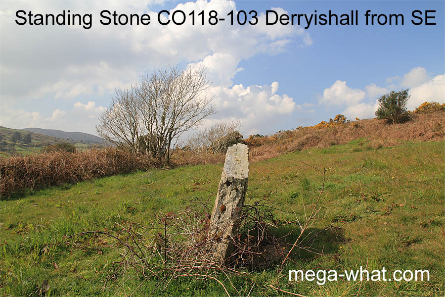 Derryishall Standing Stone, Cork, Ireland; from SE