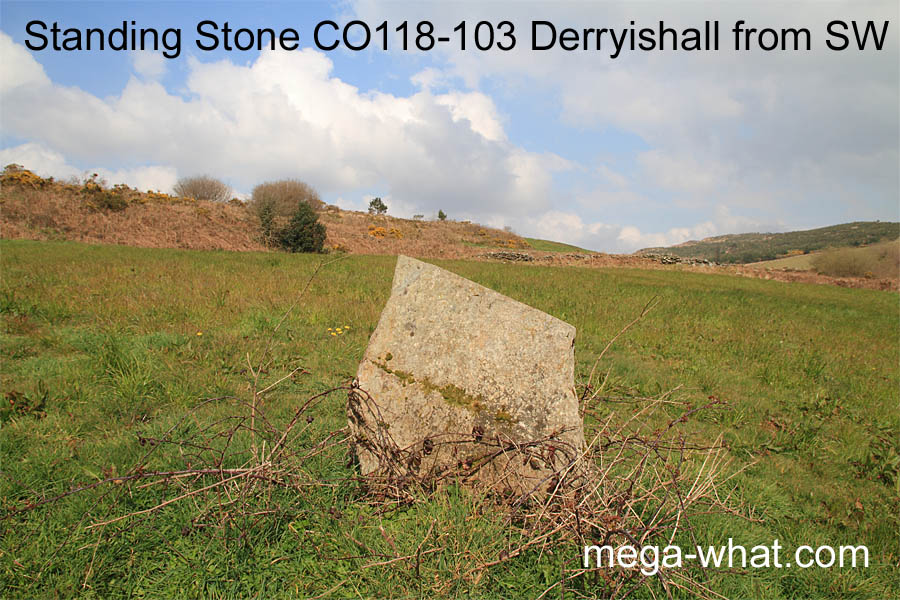 Derryishall Standing Stone, Cork, Ireland; from SW