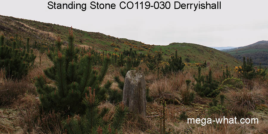 SW from Derryishall Standing Stone, Cork, Ireland.