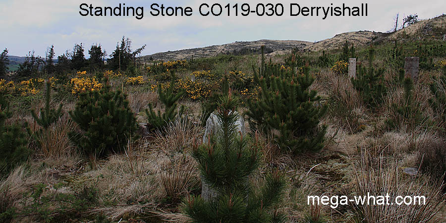 NE from Derryishall Standing Stone, Cork, Ireland.