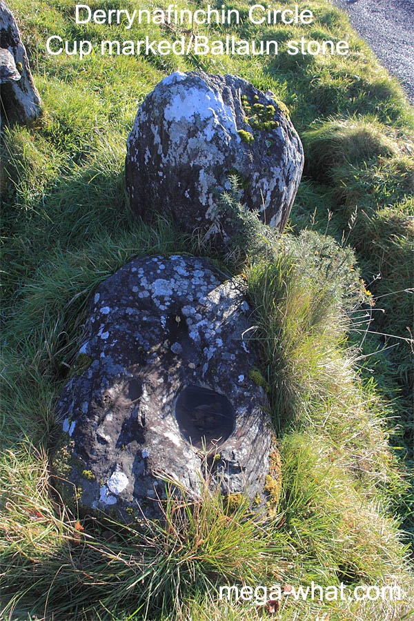 Ballaun Stone at Derrynafinchin Stone Circle, Cork, Ireland.