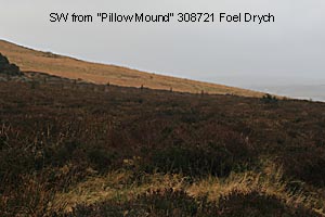 Foel Drych Pillow Mound, Pembrokeshire, West Wales.