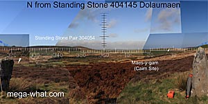 View N from Dolaumaen Standing Stone