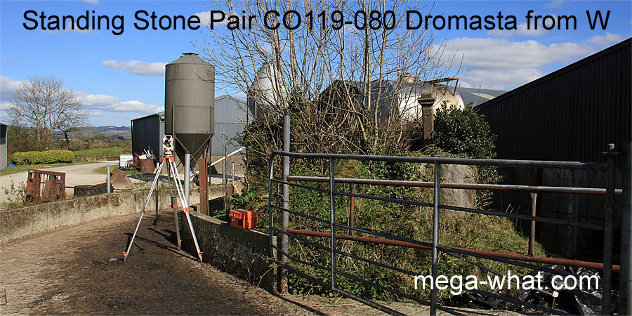 Dromasta Standing Stone Pair, Cork, Ireland.