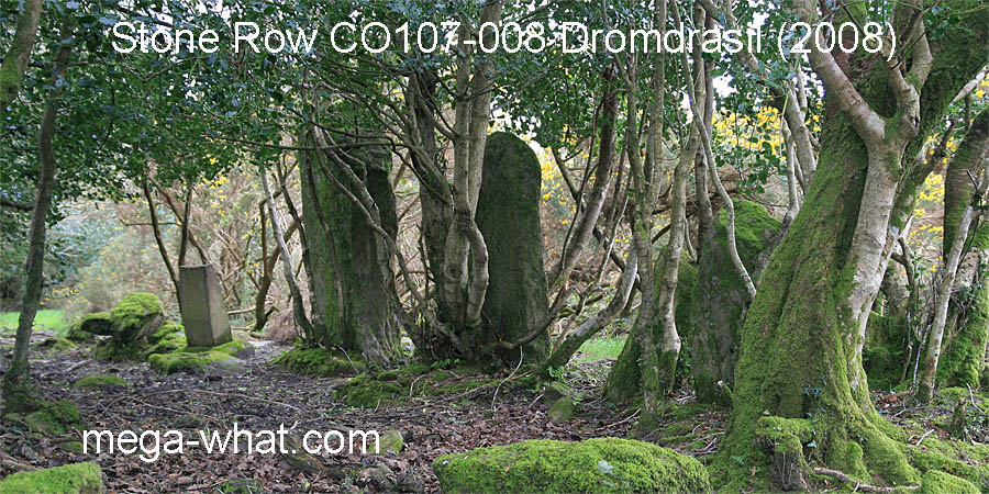 Dromdrasil Stone Row, Cork, Ireland.