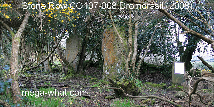 Dromdrasil Stone Row, Cork, Ireland.