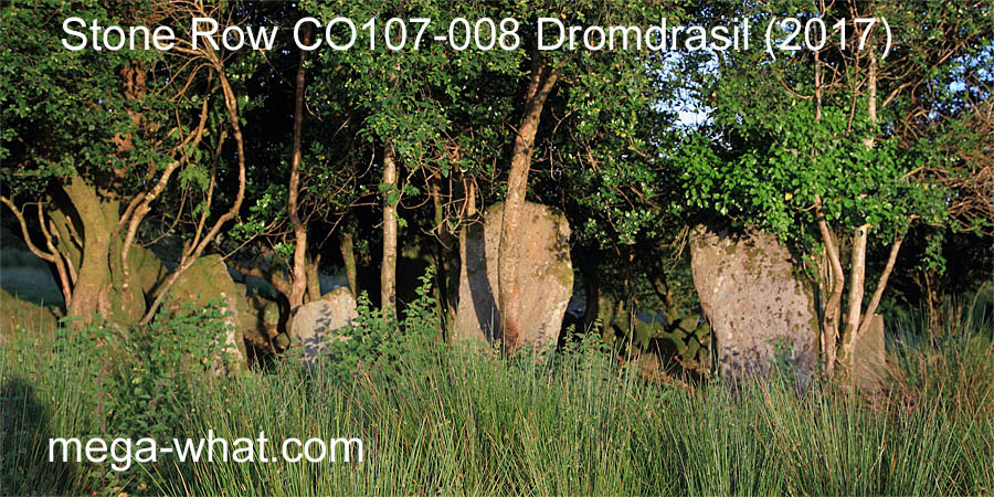 Dromdrasil Stone Row, Cork, Ireland.