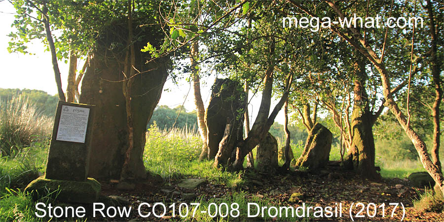 Dromdrasil Stone Row, Cork, Ireland.