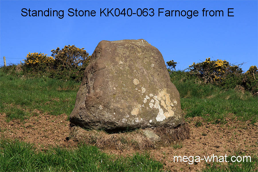 Farnoge Standing Stone, Kilkenny, Ireland.