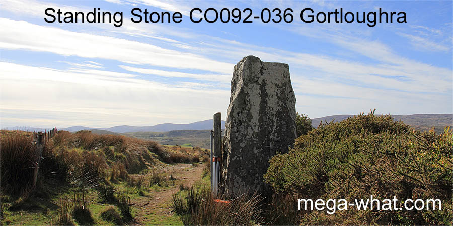 Gortloughra Standing Stone, Cork, Ireland.