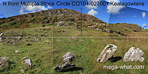 View N from Kealagowlane Stone Circle