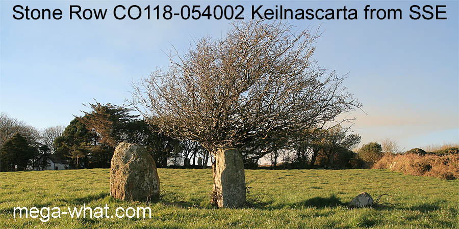 Keilnascarta Stone Row, Cork, Ireland.