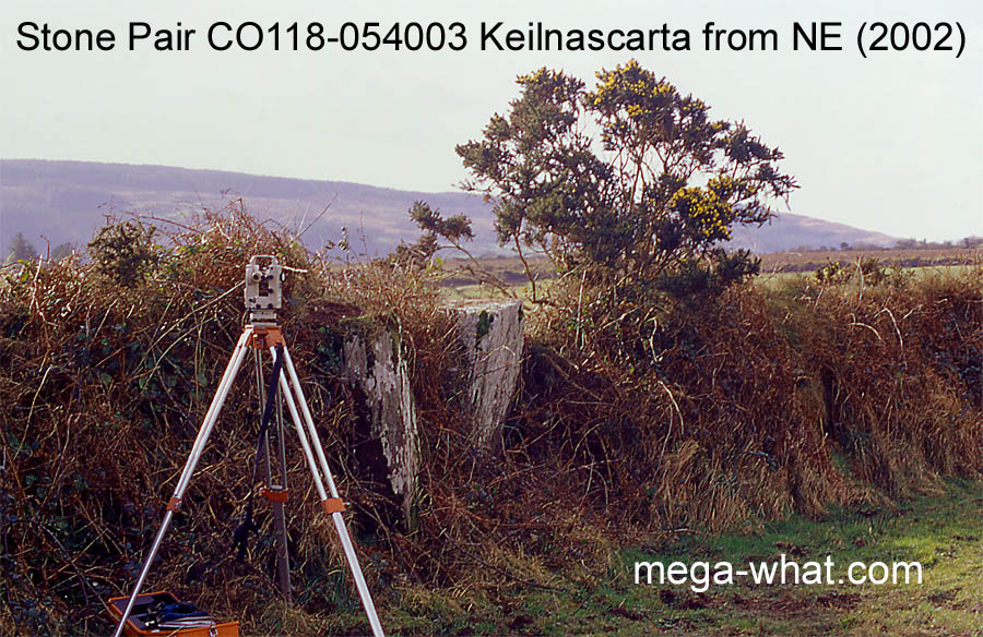 Stone Pair CO118-054003 Keilnascarta, West Cork, Ireland.