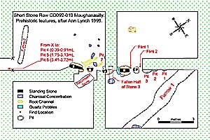 Plan of Maughanasilly Stone Row, Cork, Ireland.