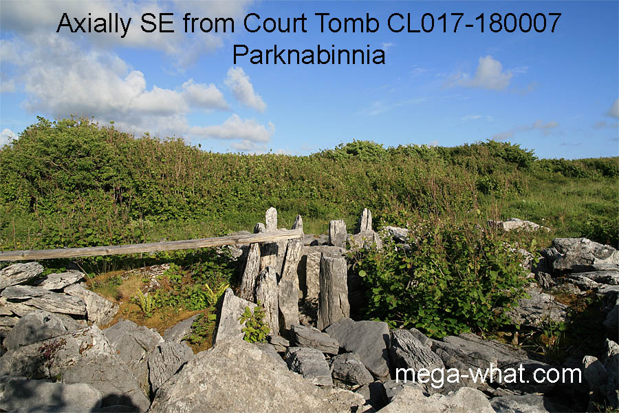 SE from Parknabinnia Court Tomb, Clare, Ireland.