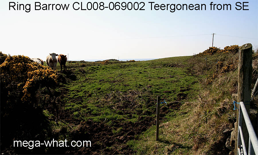 Ring Barrow CL008-069002 Teergonean, Clare, Ireland.