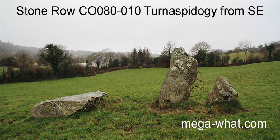 Turnaspidogy Stone Row, Cork, Ireland; from SE.